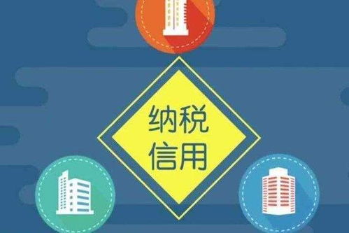 企業(yè)納稅信用評級 構(gòu)建穩(wěn)健信用的戰(zhàn)略咨詢服務(wù)